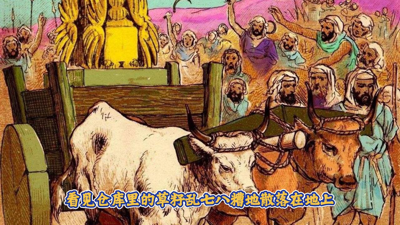 欲钱找收拾收拾的生肖是什么请全面释义、解释与落实、统计解答解释落实